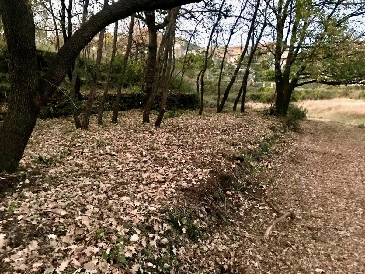 Terre Di Monacella Βίλα Santa Venerina Εξωτερικό φωτογραφία